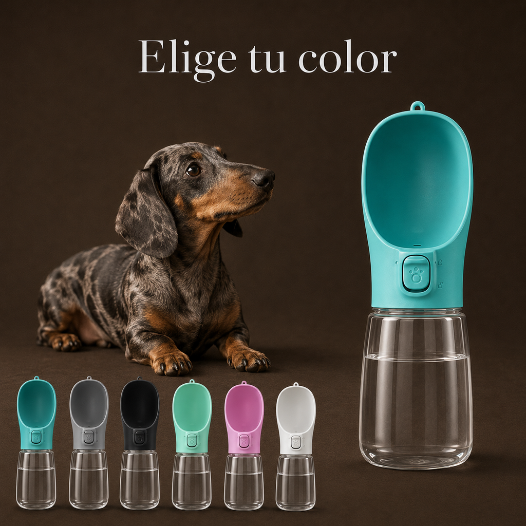 Portable dog water bottle