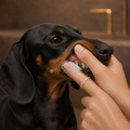 Finger toothbrush for dogs and cats
