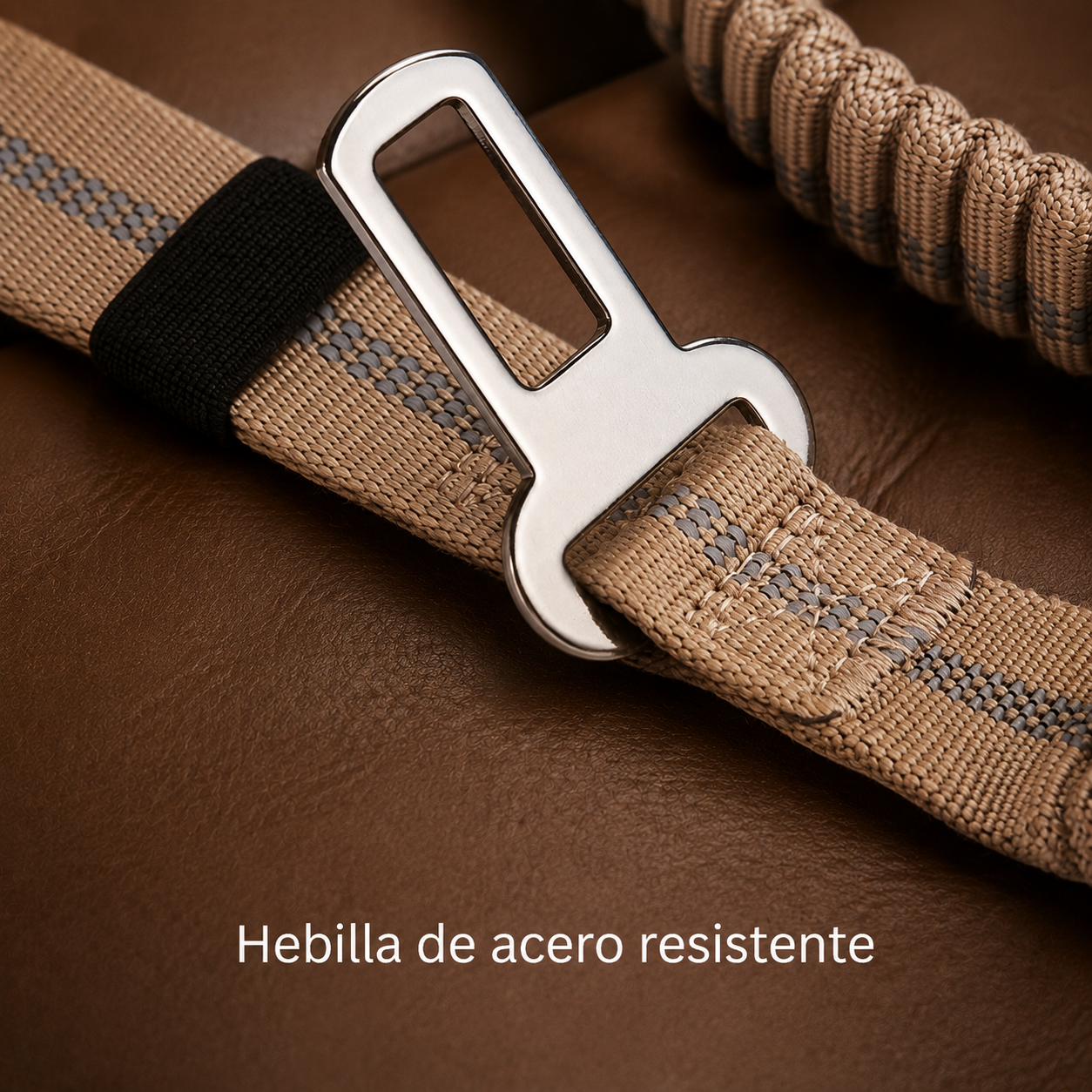 Reflective bungee strap with car anchor