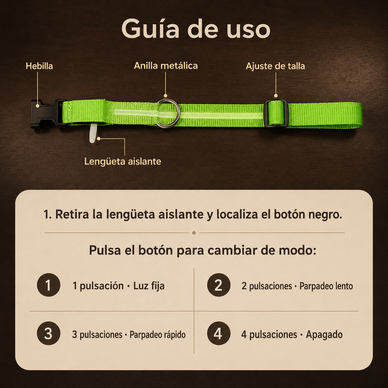 LED light-up dog leash — nighttime safety