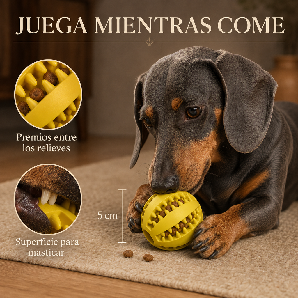 Natural rubber dog ball — dental cleaning