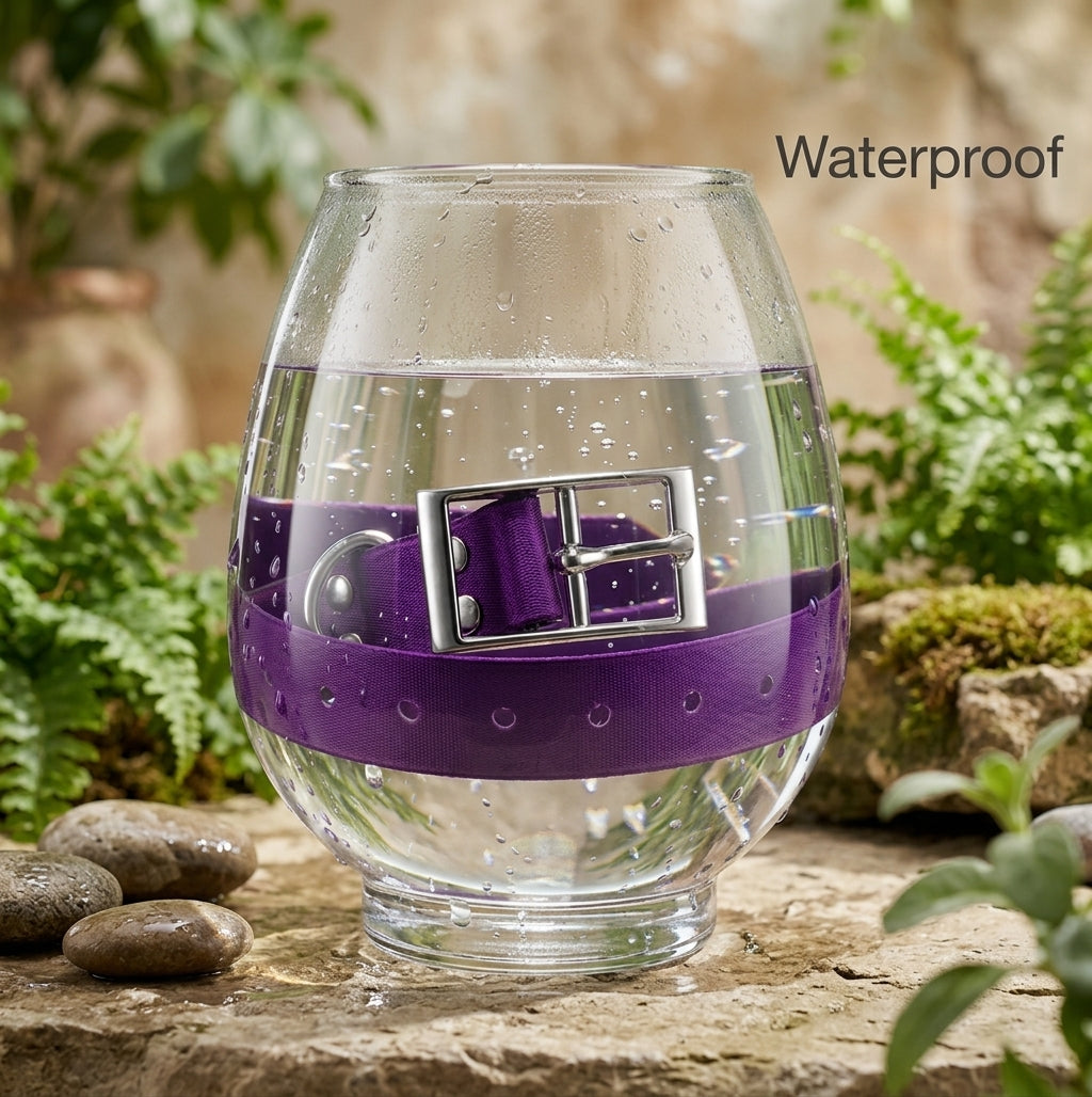 Waterproof TPU Dog Collar — 7 colors